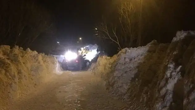 Ardahan-Şavşat karayolu ulaşıma kapandı: Bir ilçede okullar tatil edildi