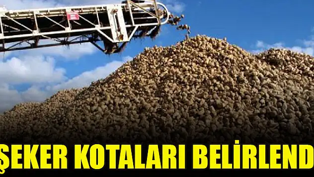 Şeker kotaları belirlendi