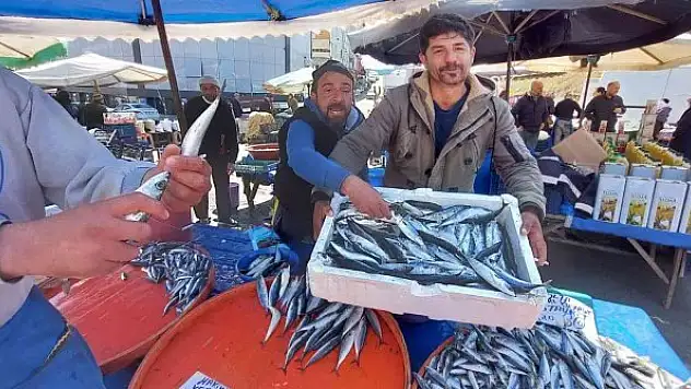 Balıkçıların müşteri kapma yarışı renkli görüntülere sahne oldu