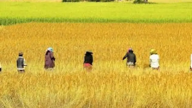 Hükümetten istİhdam seferberlİğİ