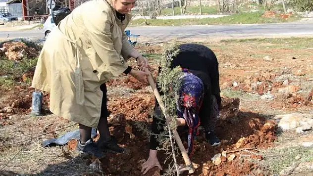 Şehitler adına iki orman kuruldu, ilk fidanları aileleri dikti