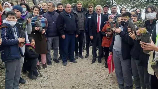 176 fidan toprakla buluştu