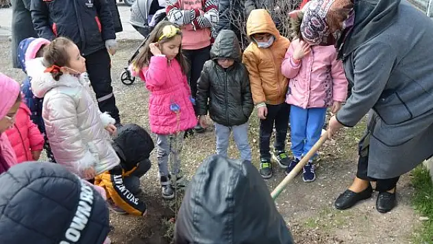 Öğrenciler okul bahçesine fidan dikti