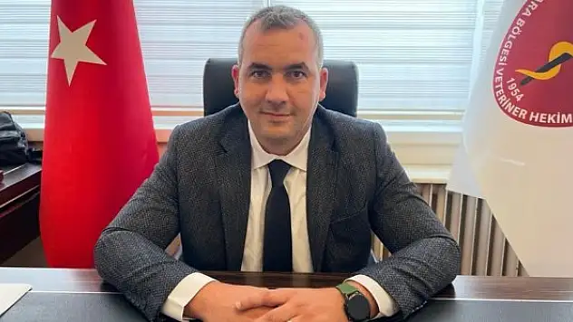 Ankara Bölgesi Veteriner Hekimler Odası'ndan dişi hayvanların kesiminin durdurulması talebi