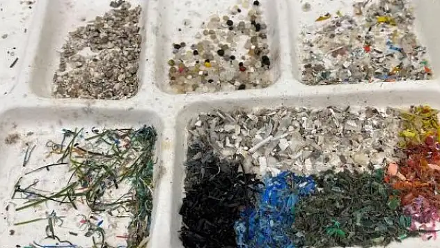 İnsan kanında mikroplastik bulundu