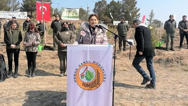 'Kütahya, orman ve tabiat varlığı bakımından Türkiye ve dünya ortalamasının üzerinde'