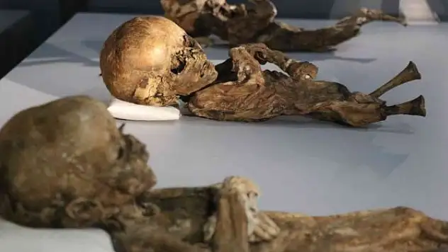 Bin yıllık mumyalar Aksaray'da