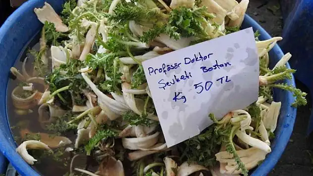 'Profesör doktor' lakaplı otun fiyatı etle yarışıyor