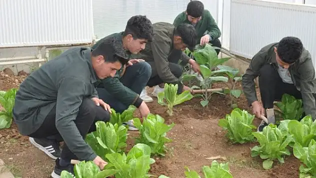 Öğrenciler hem öğreniyor hem de ekonomiye katkı sunuyor