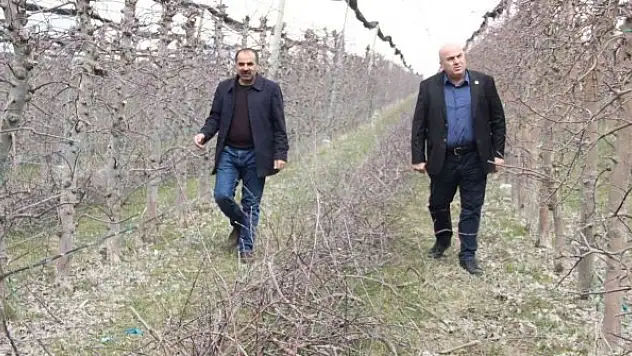 Mart ayının soğuk geçmesi elmada don riskini azalttı