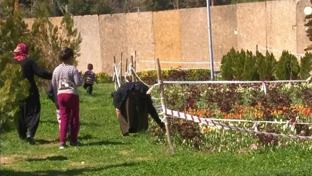 Laleleri koparan kadın kameralara yakalandı