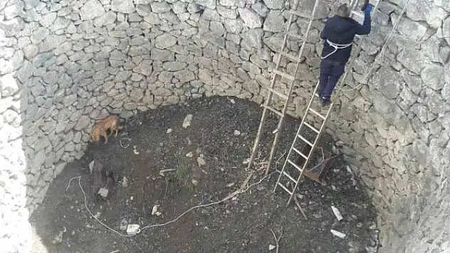 İki gündür kuyuda can çekişti, imdadına itfaiye yetişti