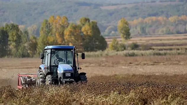 Tohumda KDV'nin yüzde 1'e düşürülmesinin üretimi artırması bekleniyor