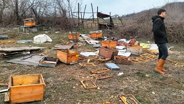 Baba yadigarıydı, gördükleri manzarayla şoke oldular