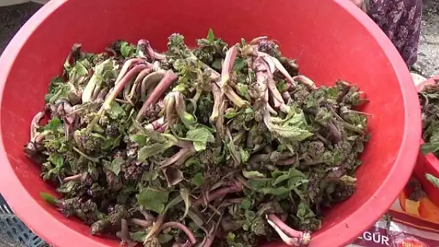 Şifa kaynağı pazara indi