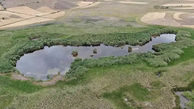 Habitat harikası göl, maden ocağı tehdidi altında