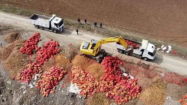Yol kenarına dökülen tonlarca soğan havadan görüntülendi