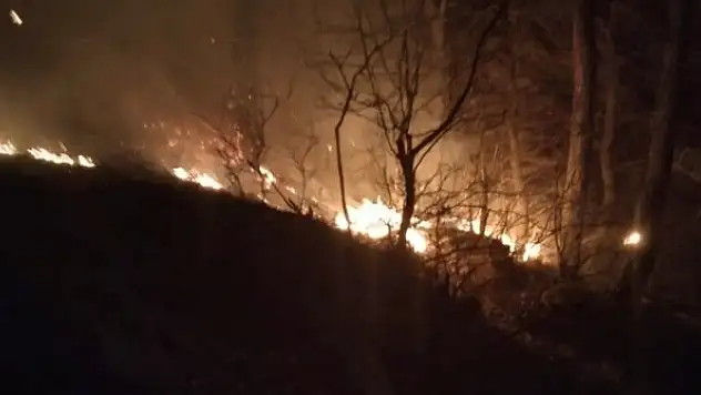 Osmaniye'de orman yangını