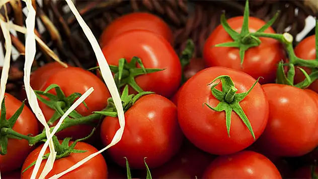 Domates fiyatında son 7 yılın rekoru