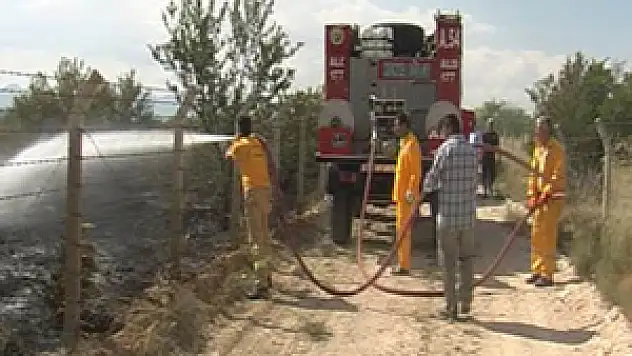 Ereğli'de orman yangını