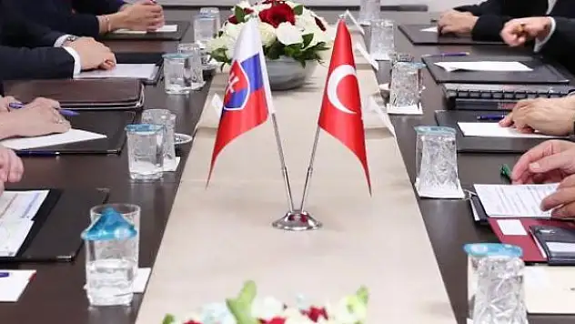 Türkiye-Slovakya siyasi istişare toplantısı Bratislava'da düzenlenecek