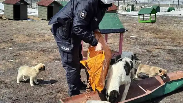 Polis ekipleri sokak hayvanlarını unutmadı