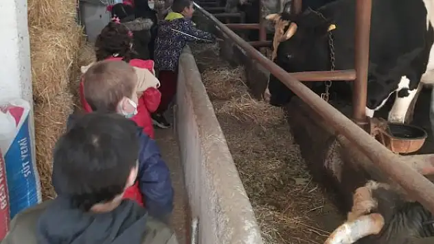 Pazarlar'da 'Bir bardak sağlık' projesi