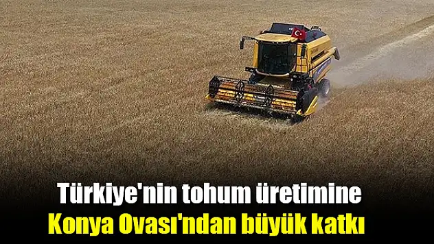 Türkiye'nin tohum üretimine Konya Ovası'ndan büyük katkı