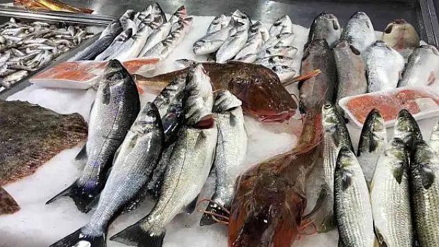 Nadir bulunan kırlangıç balıkları, kilosu 250 liradan satılıyor