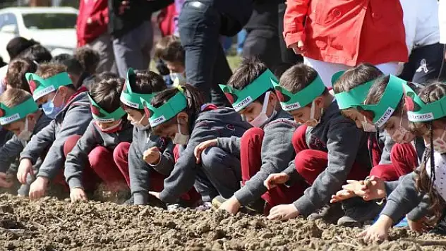 Çocuklar mor patates tohumlarını toprakla buluşturdu