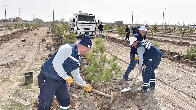 Karatay'da ağaçlandırma çalışmaları sürüyor