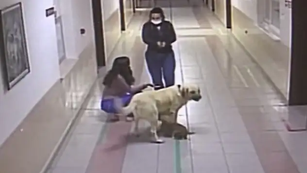 Yavrusunu takip edip 2 saat boyunca hastane kapısında bekledi