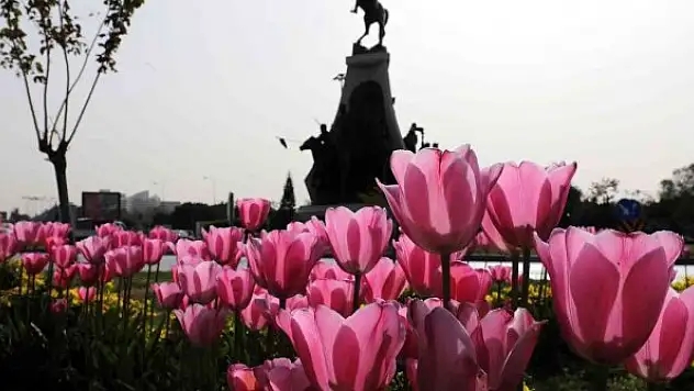 Baharın habercisi laleler kenti süslüyor