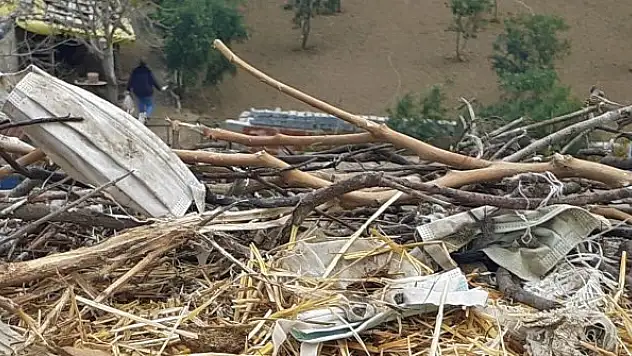 Maske atıkları, leylekleri tehdit ediyor