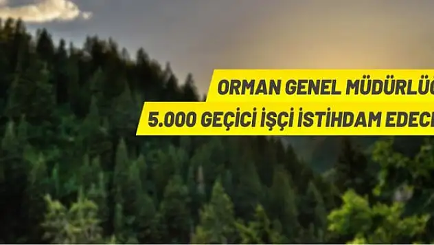 Orman Genel Müdürlüğü 5 bin Geçici İşçi alacak