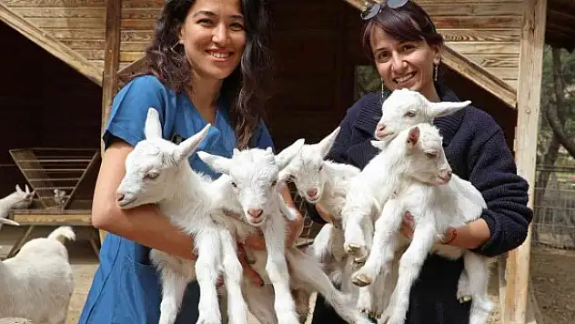 Hayvanat Bahçesi'nde Kanguru ve lemur yavru doğumları başladı