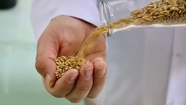 'Kanatlı' iki yıl içinde çiftçinin tarlasında olacak