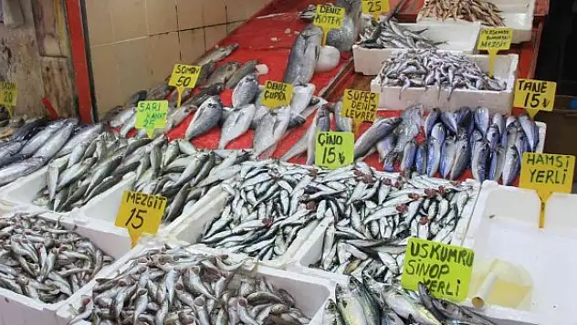 Balıkçılar uyarıyor: 'Aldın aldın, almadın daha yiyemezsin'