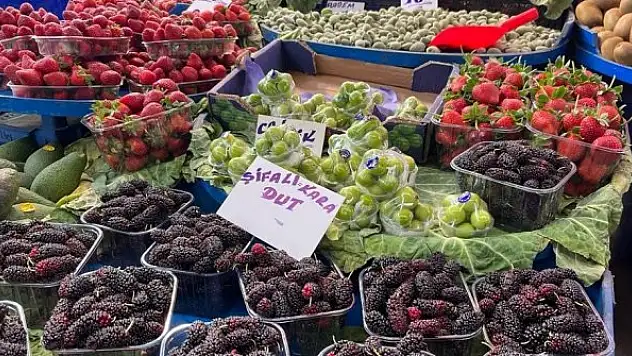 Yaz meyvelerinde bolluk ve ucuzluk bekleniyor