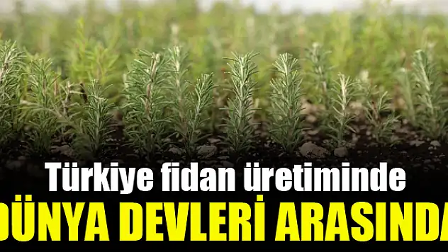 Türkiye fidan üretiminde dünya devleri arasında