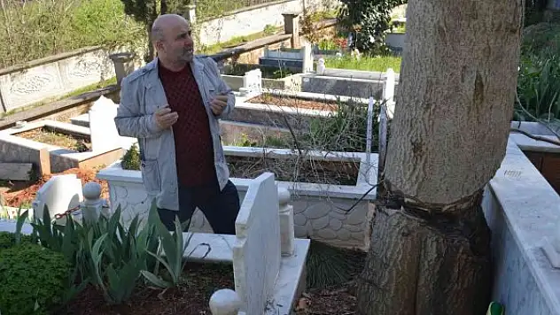 Mezar başında korkuyla dua ediyorlar