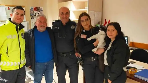 Havalimanı'nda kedi yakalama operasyonu