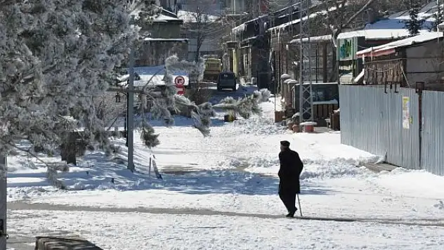Kars eksi 13 ile dondu, ağaçlar kırağı tuttu