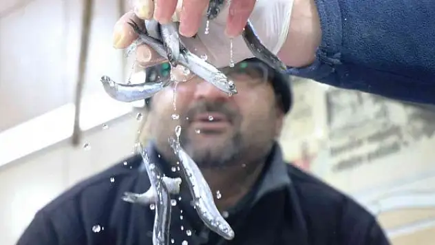 Karadeniz'de balık sezonu yasaktan önce bitti