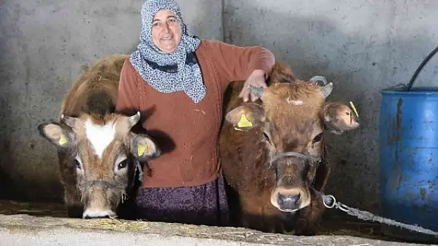 Başkan Deveci: 'Amacımız tarım ve hayvancılığı desteklemek'