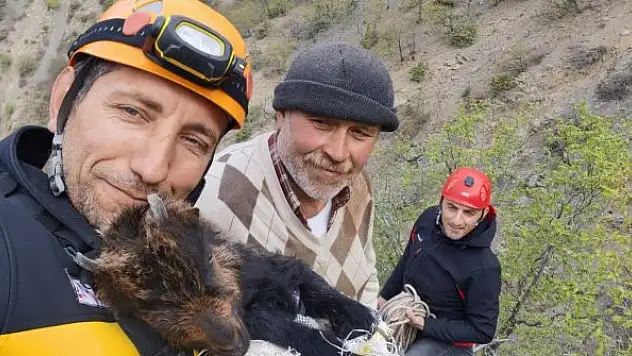 Kayalıklarda mahsur kalan 2 aylık yavru keçi 7 gün sonra kurtarıldı