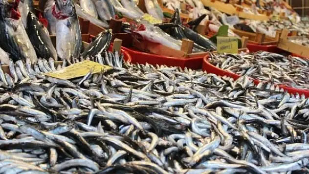 Sezonun son balıkları tezgahlarda yerini aldı