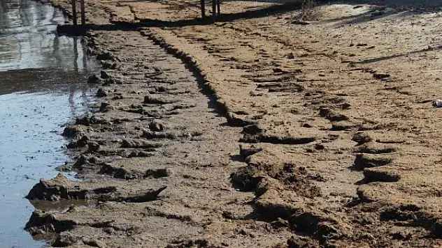 Denizi adeta katleden besi firmasına cezası kesildi
