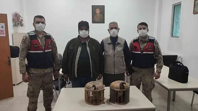 Kaçak avcı suçüstü yakalandı