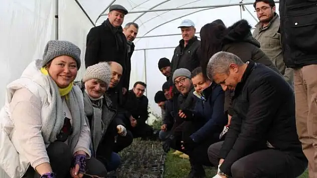 Tıbbi aromatik bitki yetiştiriciliğine yoğun ilgi